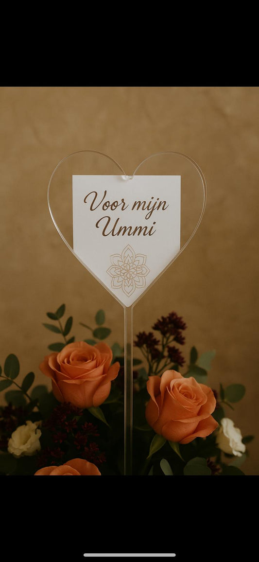 Plexi bijsteker Ummi